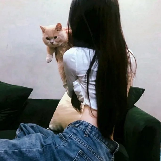 群鸟东径
